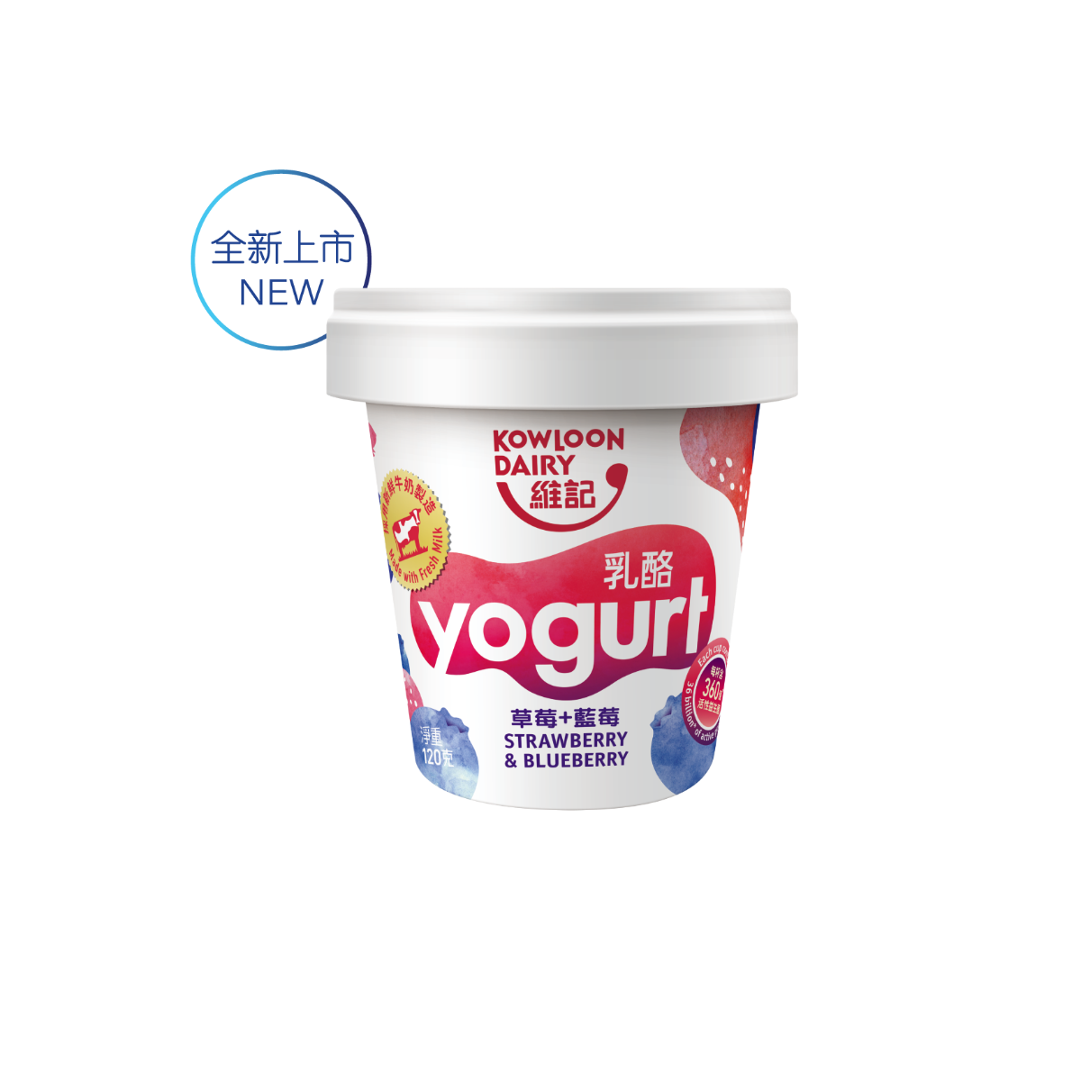 Strawberry & Blueberry Yogurt